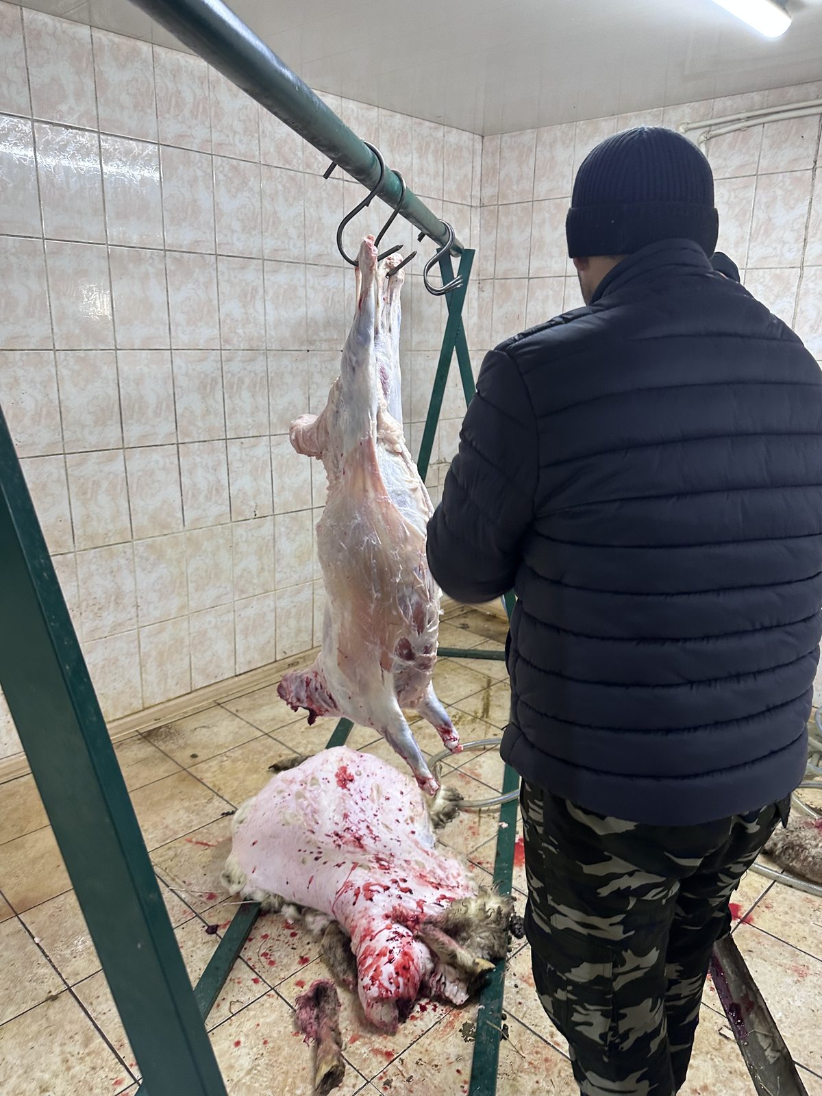 Халяль забой баранов — профессиональная разделка, деревня Акулово